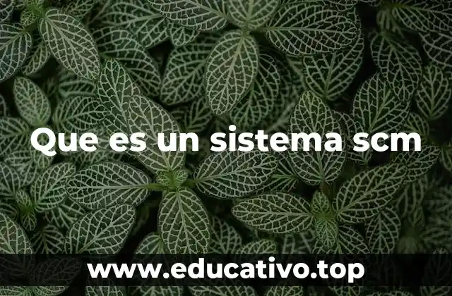 Que es un sistema scm