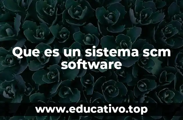 Que es un sistema scm software
