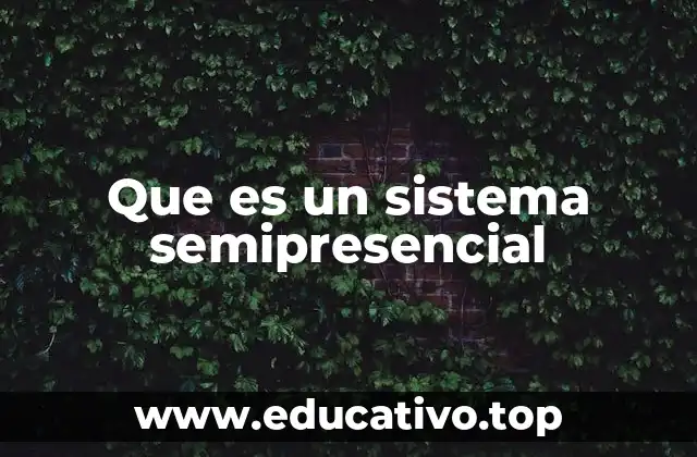 Características del modelo híbrido en educación