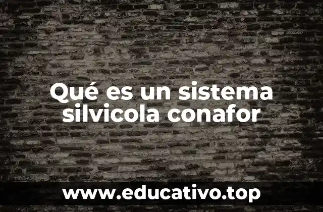 Qué es un sistema silvicola conafor
