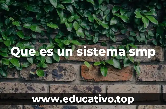 Que es un sistema smp