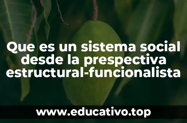 Que es un sistema social desde la prespectiva estructural-funcionalista