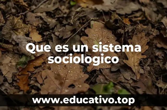 Que es un sistema sociologico