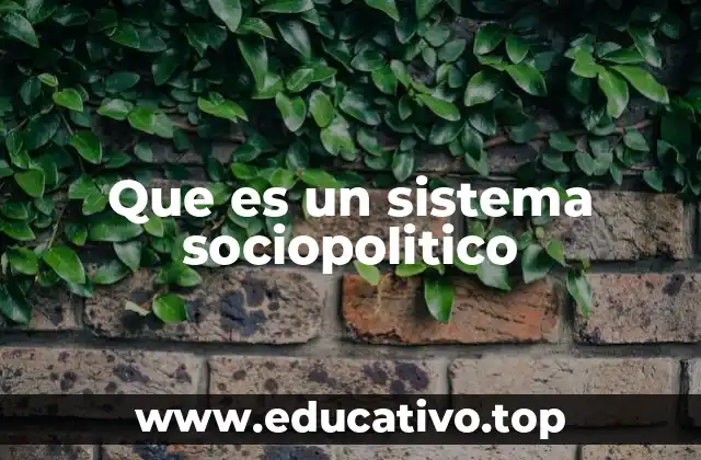 Que es un sistema sociopolitico