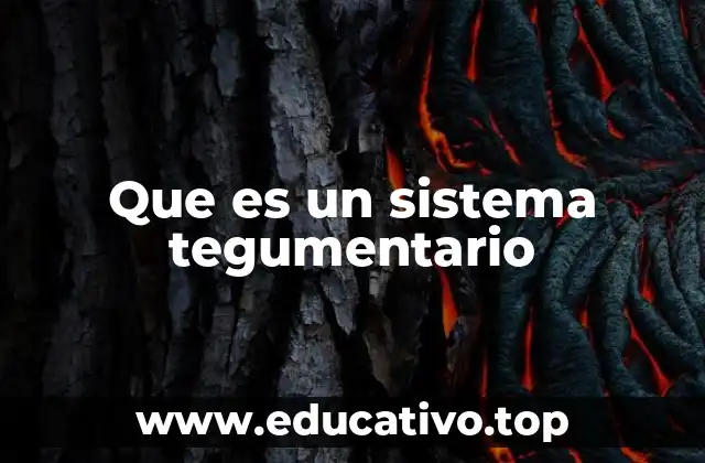 Que es un sistema tegumentario