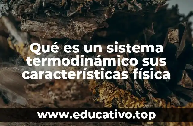 Qué es un sistema termodinámico sus características física