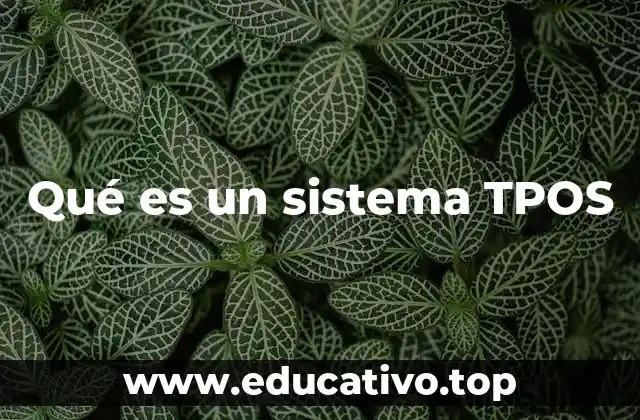 Qué es un sistema TPOS