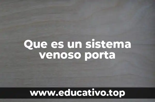 Que es un sistema venoso porta