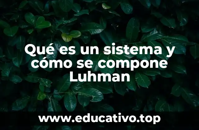 Qué es un sistema y cómo se compone Luhman