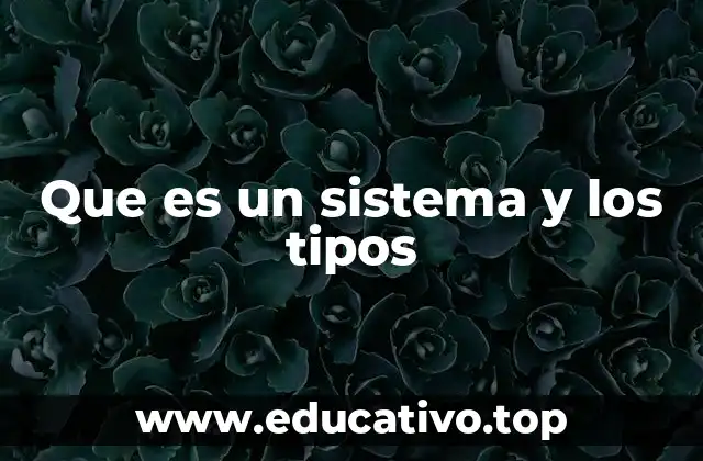 Que es un sistema y los tipos