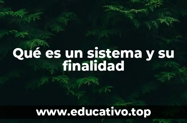 Qué es un sistema y su finalidad