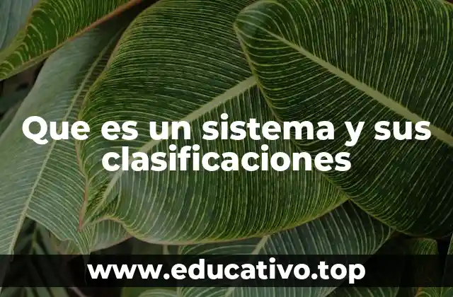 Que es un sistema y sus clasificaciones