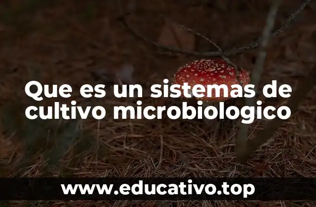 Que es un sistemas de cultivo microbiologico