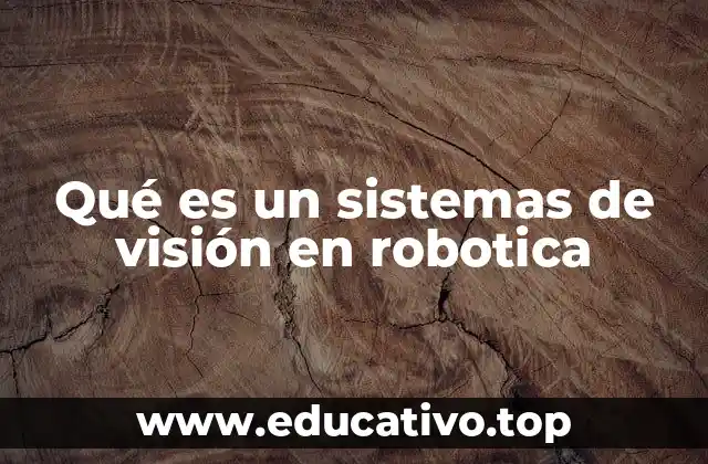 Qué es un sistemas de visión en robotica
