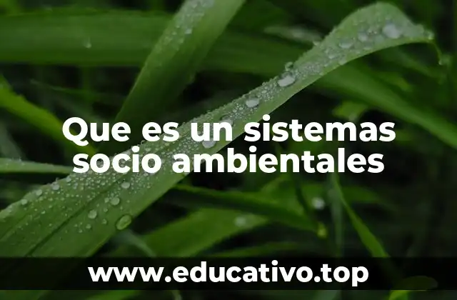 Que es un sistemas socio ambientales