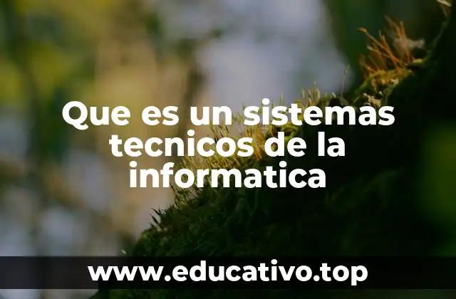 Que es un sistemas tecnicos de la informatica