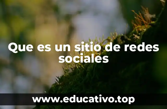 Que es un sitio de redes sociales
