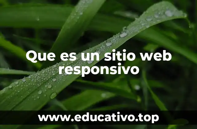 Que es un sitio web responsivo