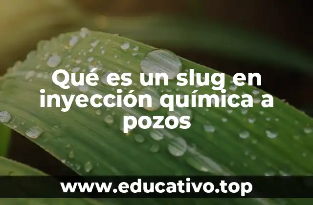 Qué es un slug en inyección química a pozos