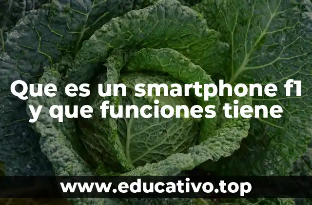 Que es un smartphone f1 y que funciones tiene