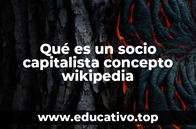Qué es un socio capitalista concepto wikipedia