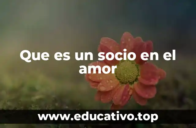 Que es un socio en el amor