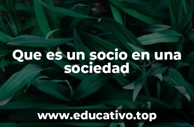 Que es un socio en una sociedad