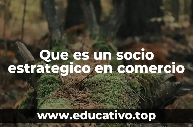 Que es un socio estrategico en comercio