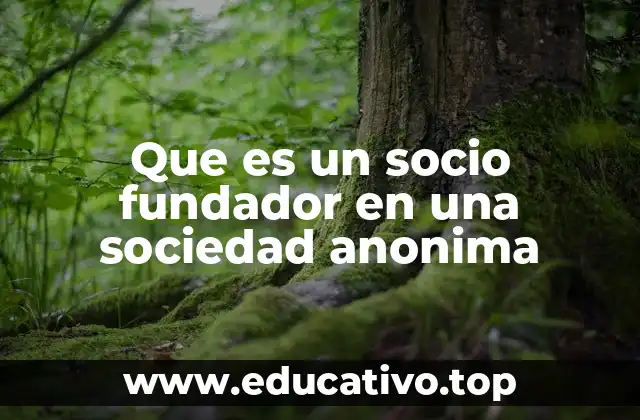 El rol del socio fundador en la constitución de una empresa