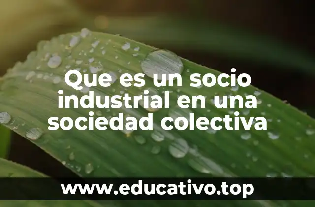 Que es un socio industrial en una sociedad colectiva