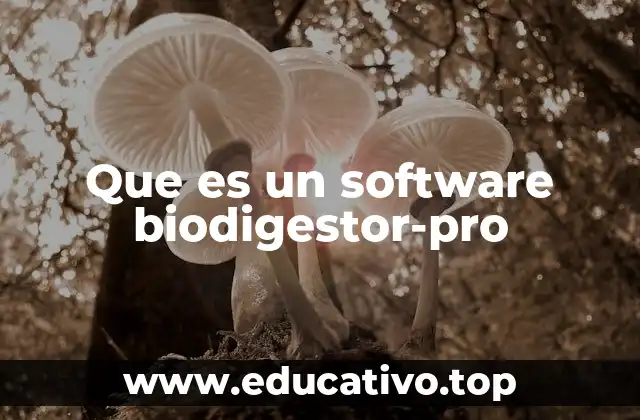 Que es un software biodigestor-pro