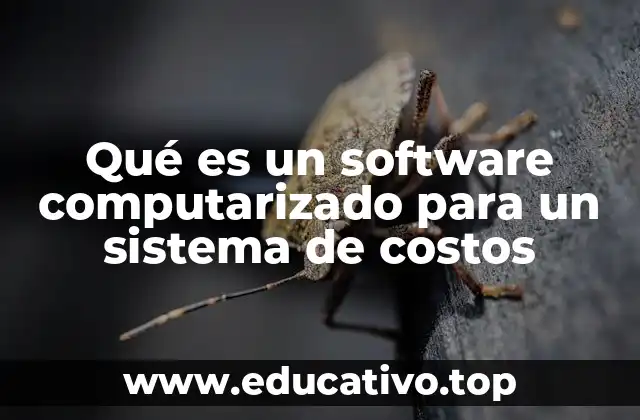 Qué es un software computarizado para un sistema de costos