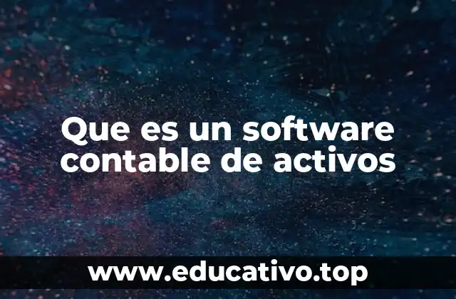 Que es un software contable de activos