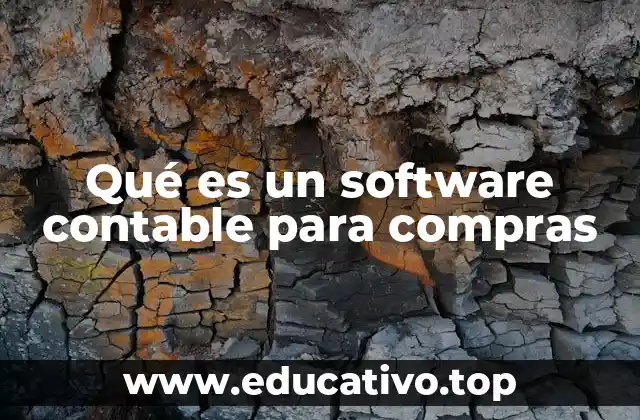 Qué es un software contable para compras