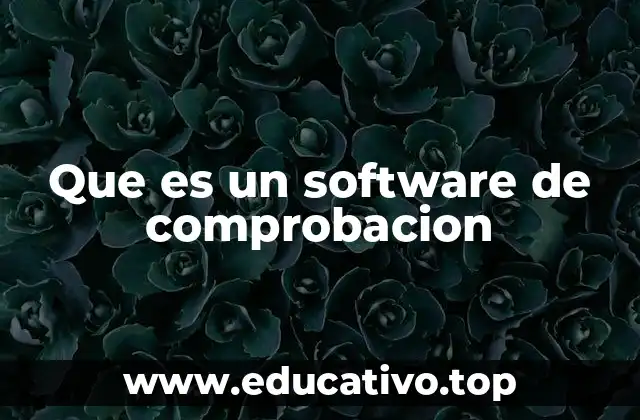 Que es un software de comprobacion