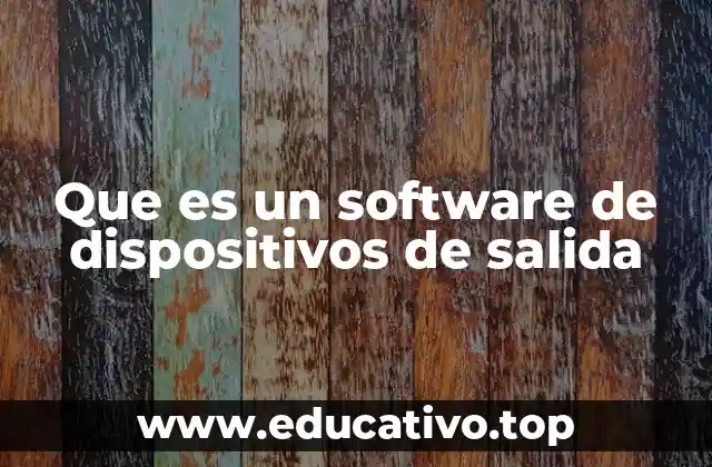 Que es un software de dispositivos de salida