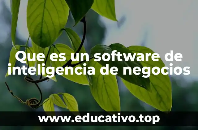 Que es un software de inteligencia de negocios