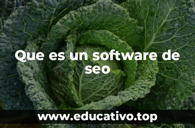 Que es un software de seo