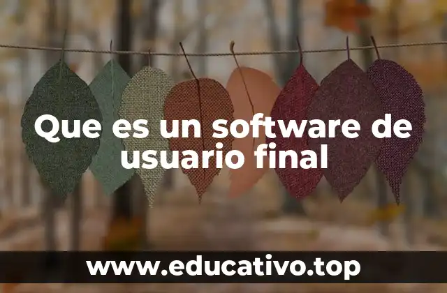 Que es un software de usuario final
