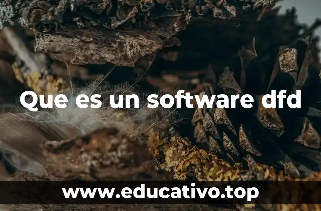 Que es un software dfd