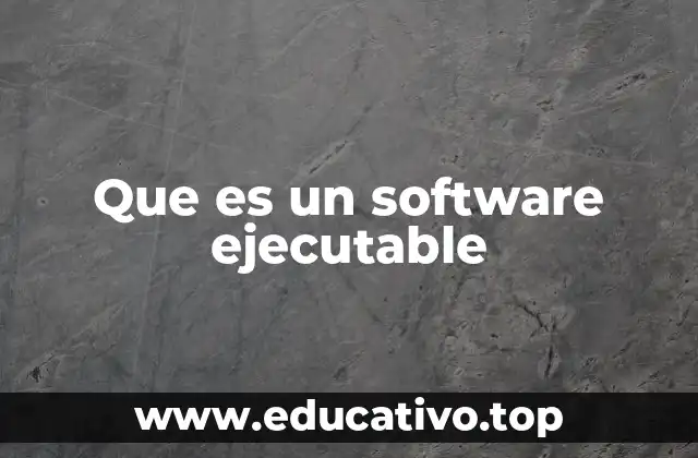Que es un software ejecutable