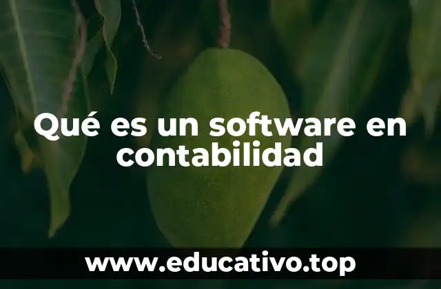 Qué es un software en contabilidad