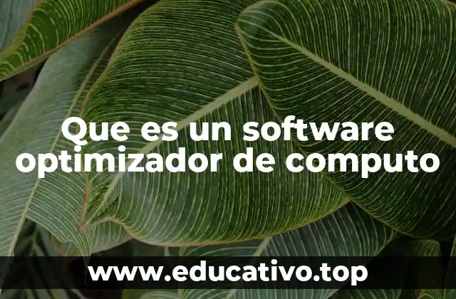 Que es un software optimizador de computo