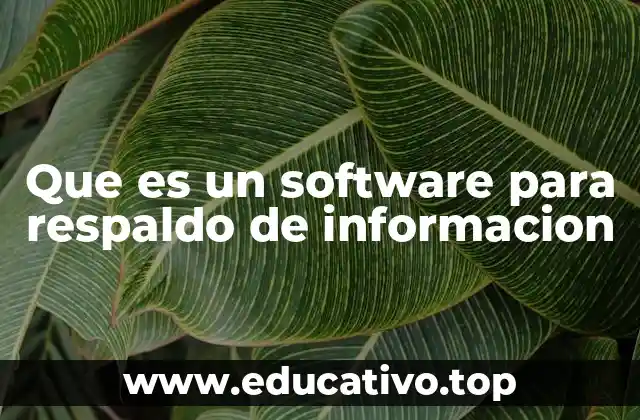 Cómo un software de copia de seguridad garantiza la protección de datos