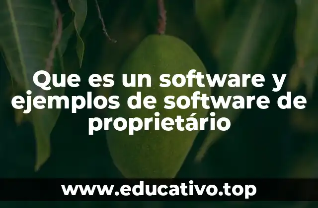 Que es un software y ejemplos de software de proprietário