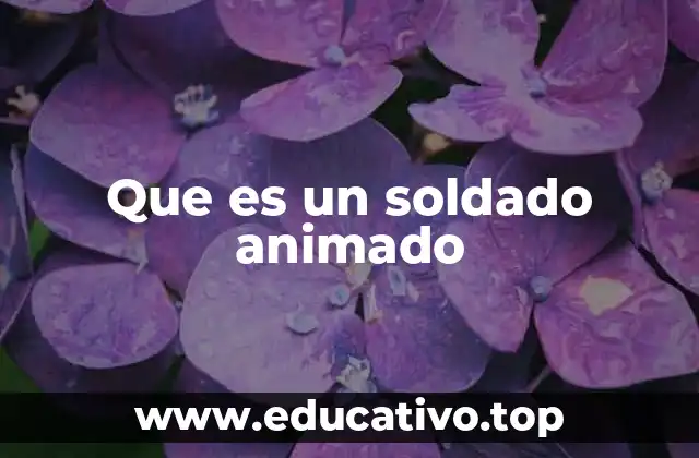 Que es un soldado animado