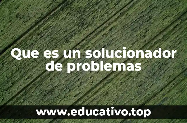 Que es un solucionador de problemas