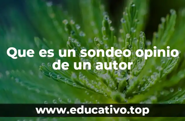 Que es un sondeo opinio de un autor