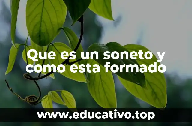 Que es un soneto y como esta formado