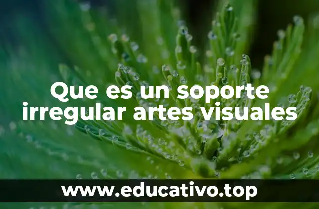 Que es un soporte irregular artes visuales